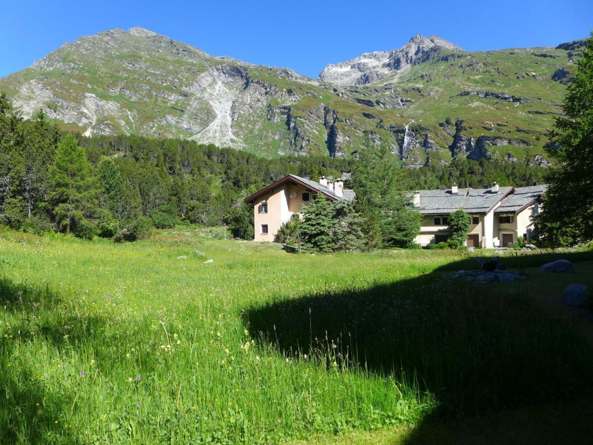 Apartment Casa La Planuera By Interhome Maloja Exterior photo